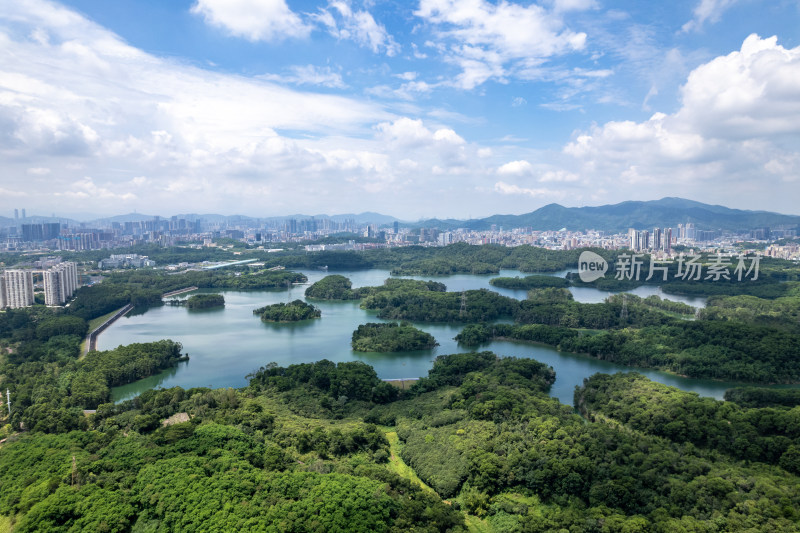 深圳龙华区茜坑水库