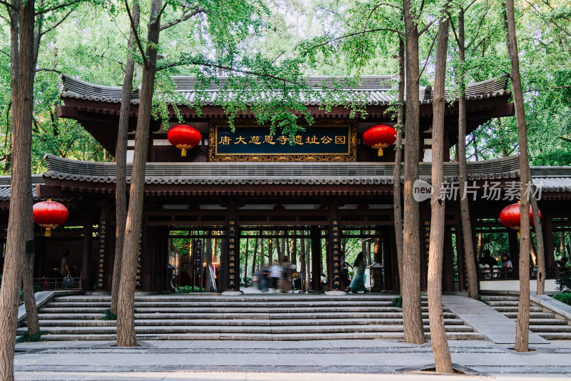 西安唐大慈恩寺遗址公园