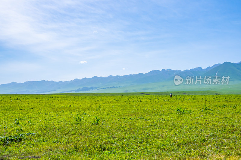 新疆伊犁那拉提草原