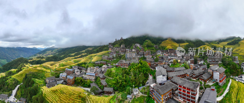 广西桂林龙脊梯田秋收稻田航拍风景