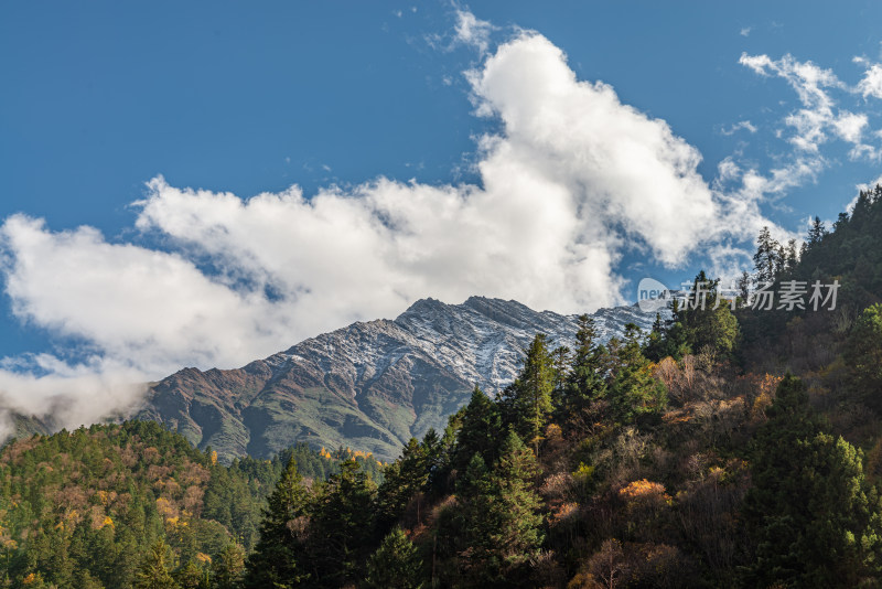 秋天树林云雾山峰