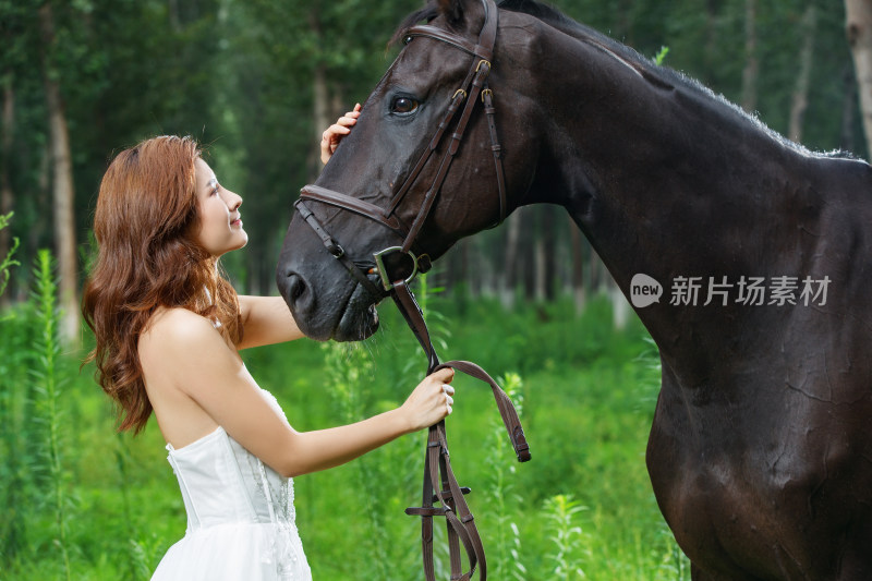 漂亮的青年女人抚摸骏马