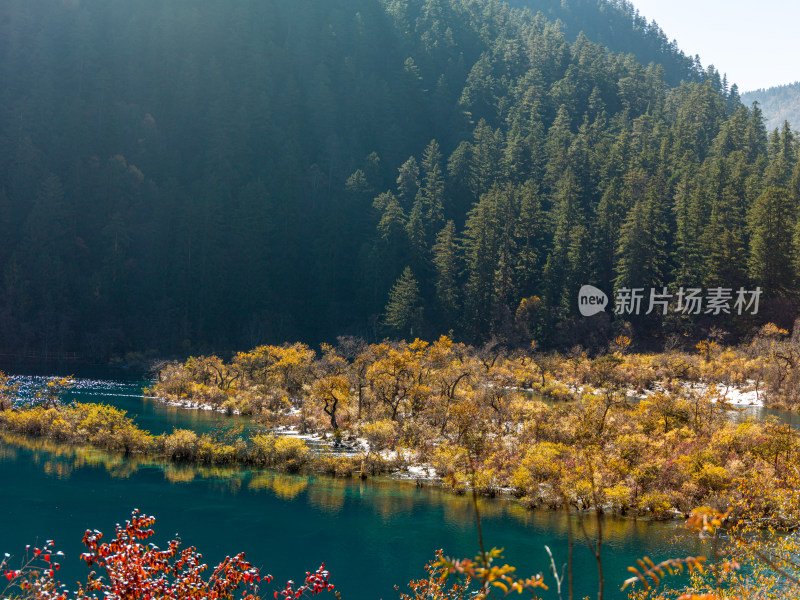 九寨沟秋景