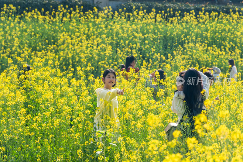 福州花海公园女孩在油菜花田拍照场景