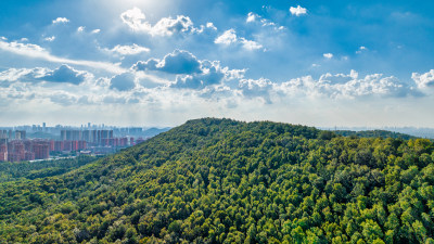 湖北武汉九峰国家森林公园景色航拍