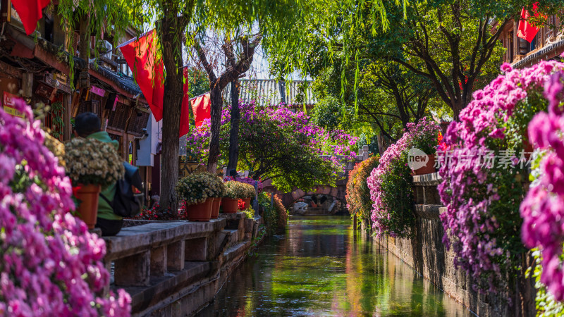 丽江古城黑龙潭景