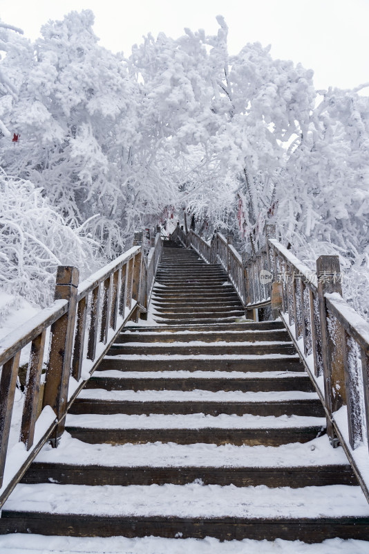 寒冷冬天洛阳老君山景区大雪登山步道台阶