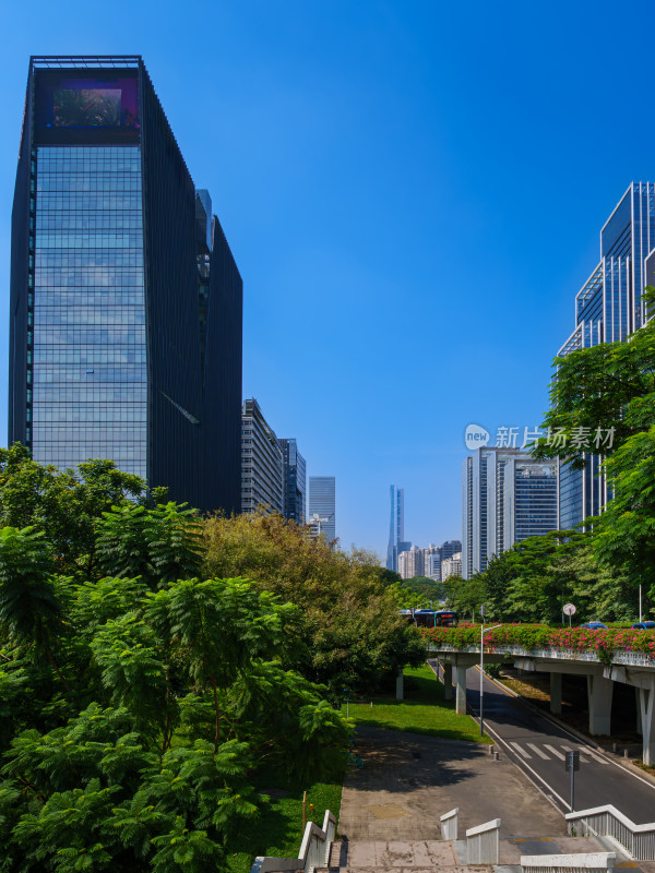 深圳南山大冲科技园