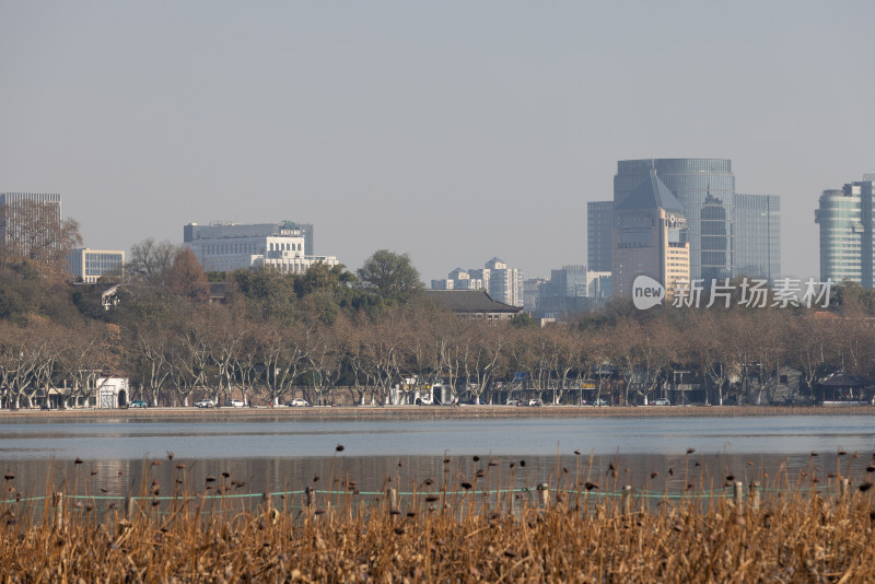 中国杭州西湖的残荷秋景与城市天际线