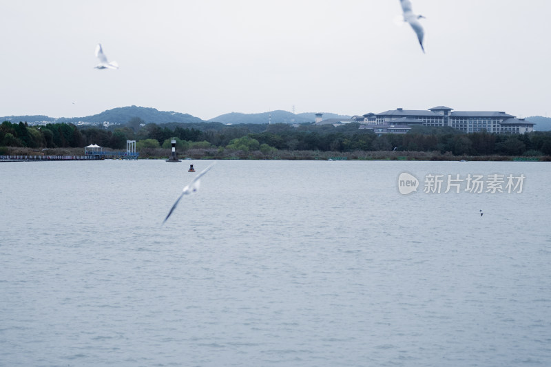 冬季，无锡鼋头渚太湖风光