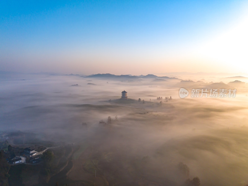 贵州遵义湄潭茶海