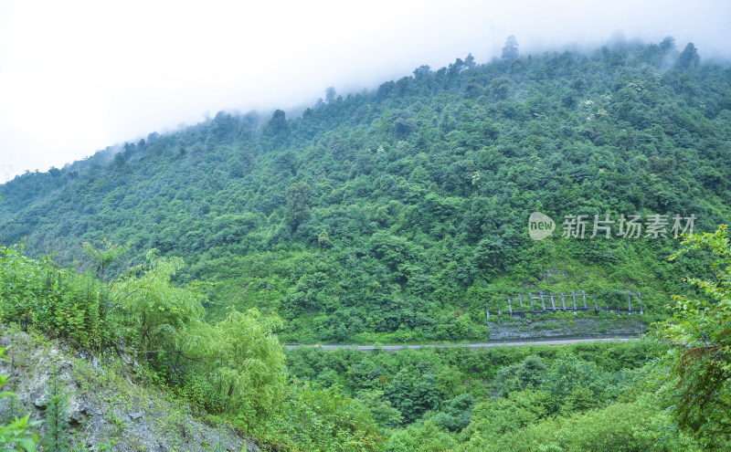 四川雅安318国道沿路绿色森林自然风光