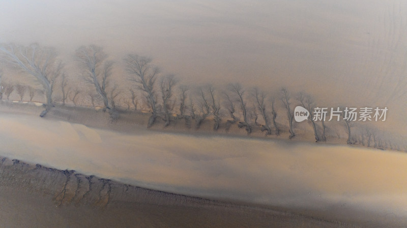 杭州冬季钱塘江滩涂湿地航拍