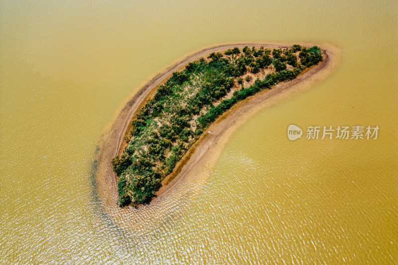 东营黄河口生态旅游区