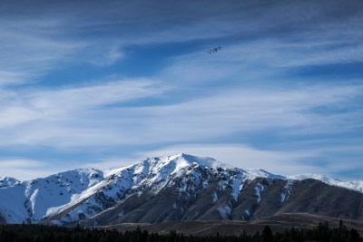 雪山蓝天飞鸟自然风光