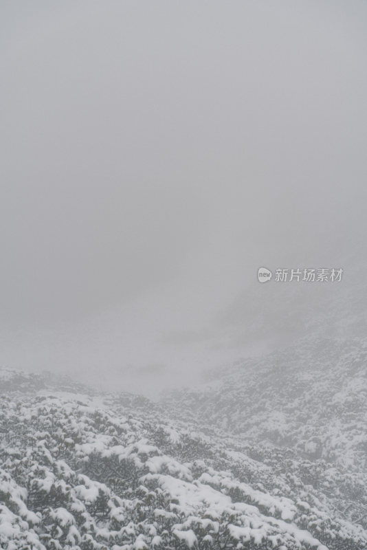 山间大雾弥漫雪景