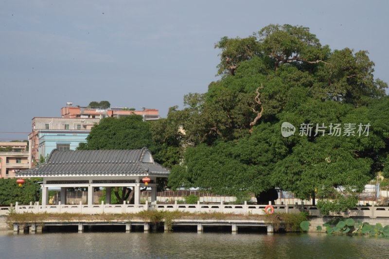 广东东莞：横丽湖沿湖风光