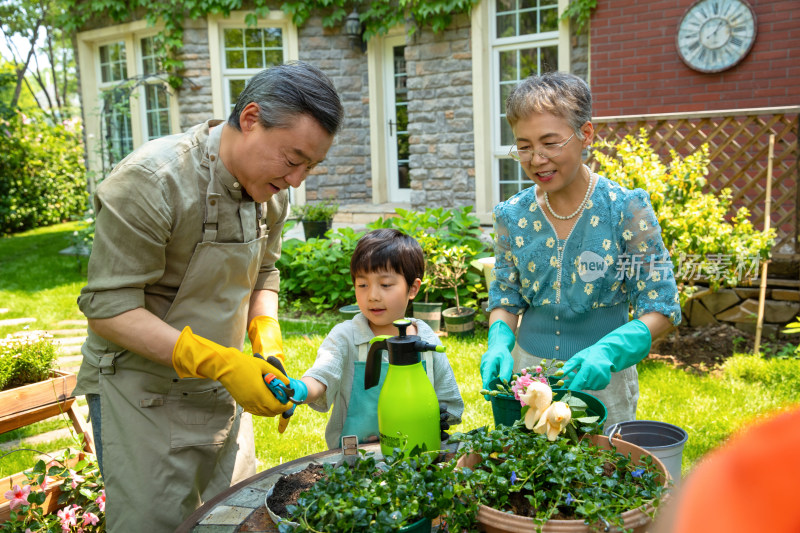 祖孙三人在院子里浇花