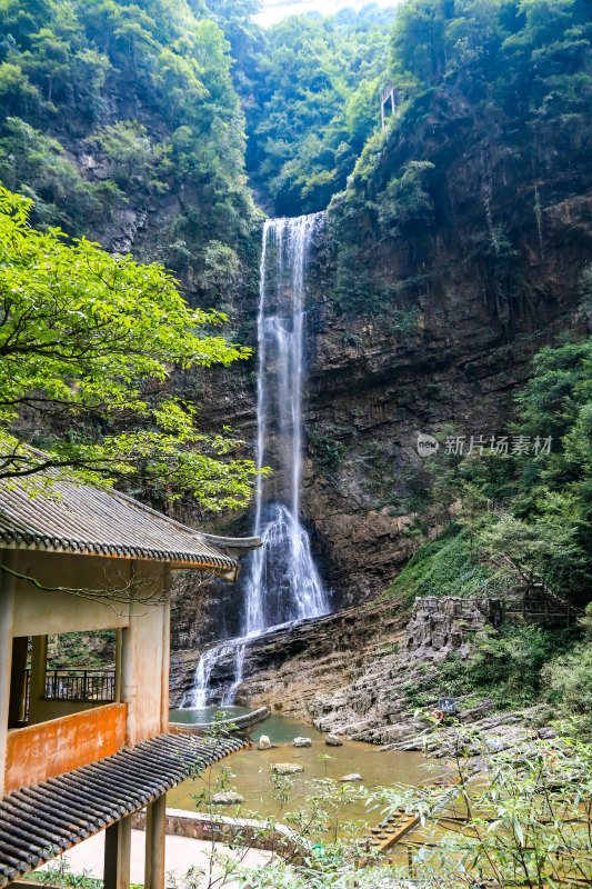 湖北宜昌三峡竹海风景区，自然风光，竹海