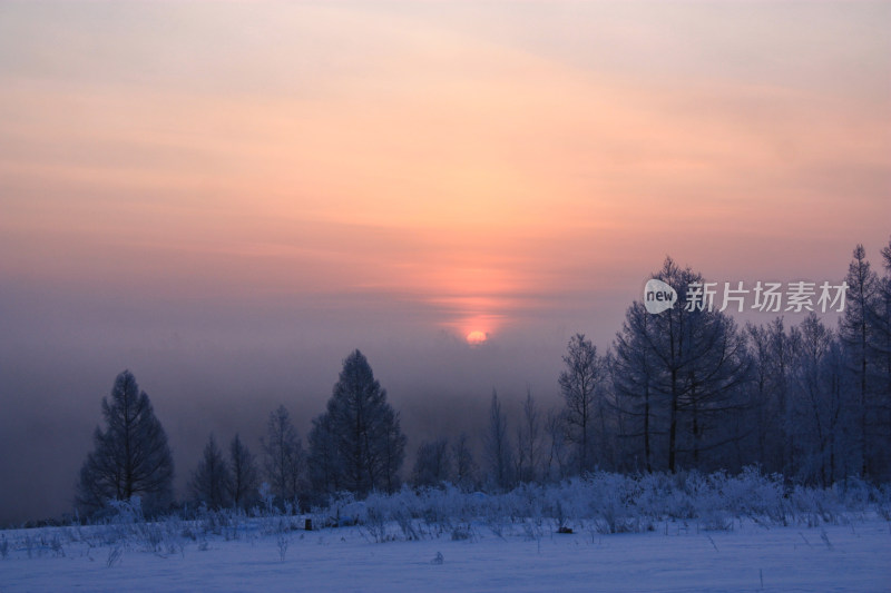 冬日河岸雾凇雪景