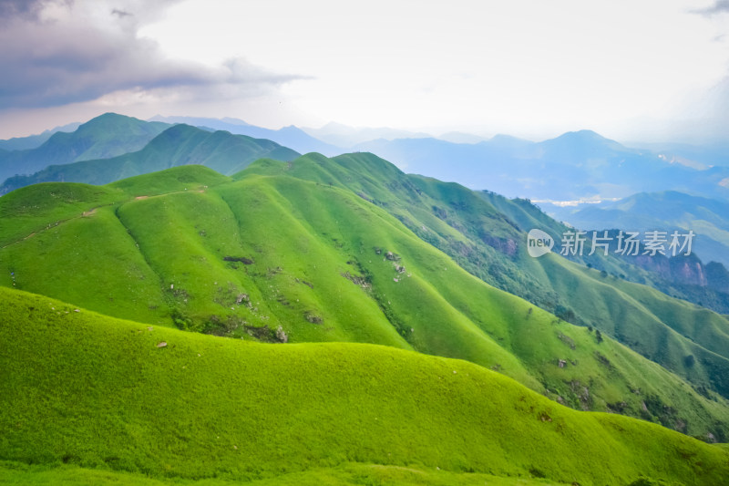 江西武功山高山草甸