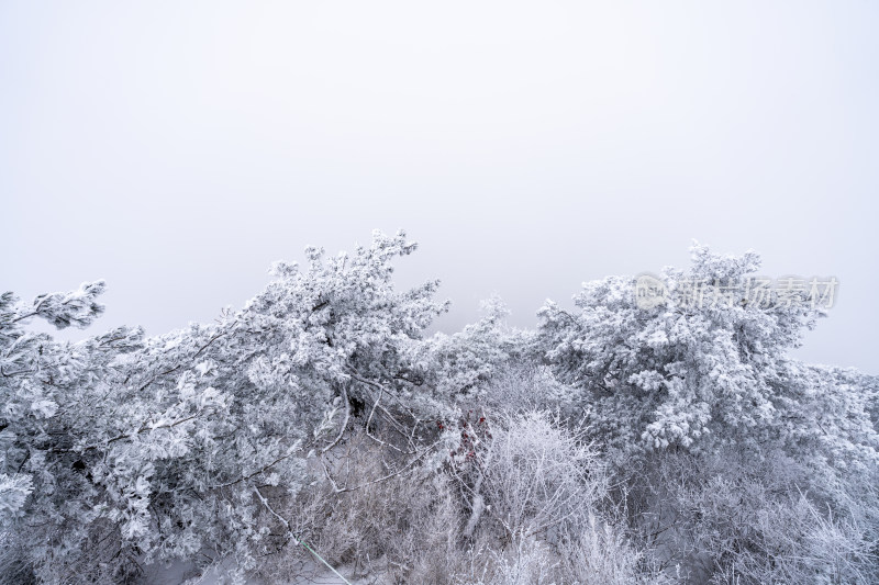 老君山下雪大山森林雾凇景观