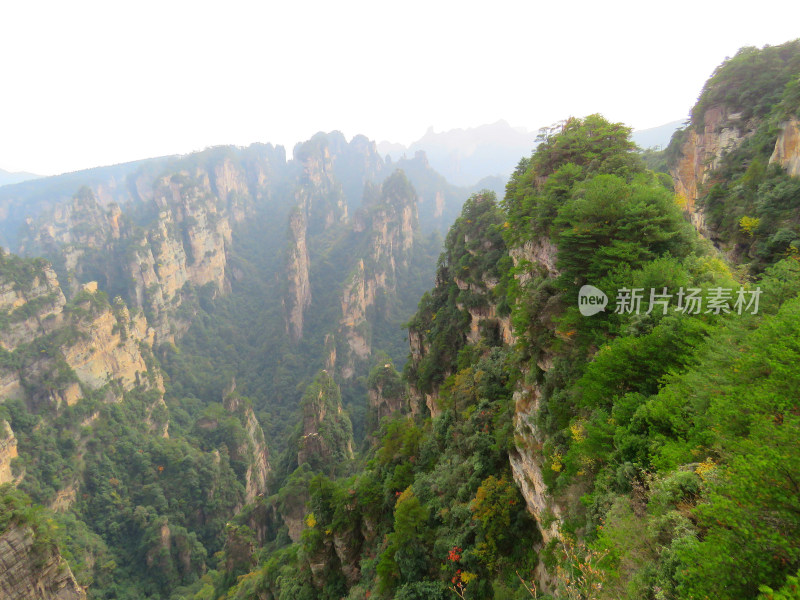 湖南张家界武陵源国家森林公园旅游风光