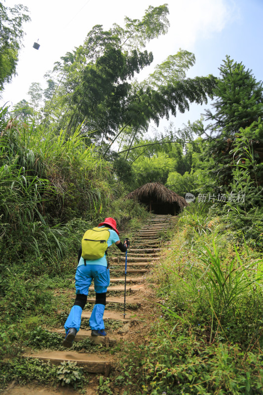 背包客独行登山背影