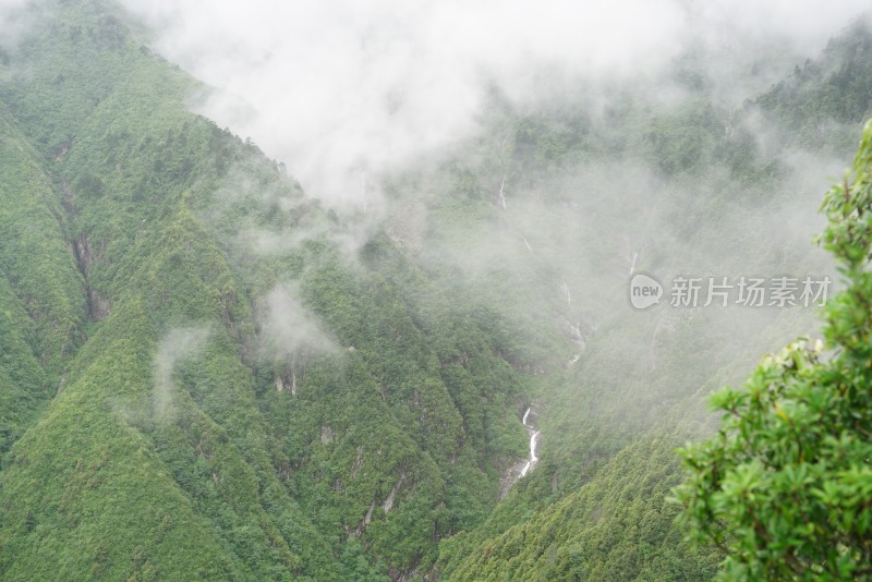 云雾缭绕的山林自然景观