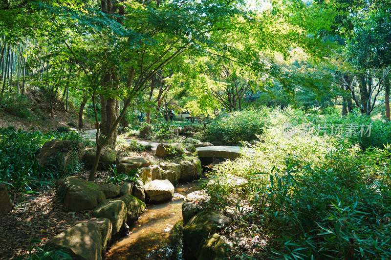 虎丘幽静石桥流水