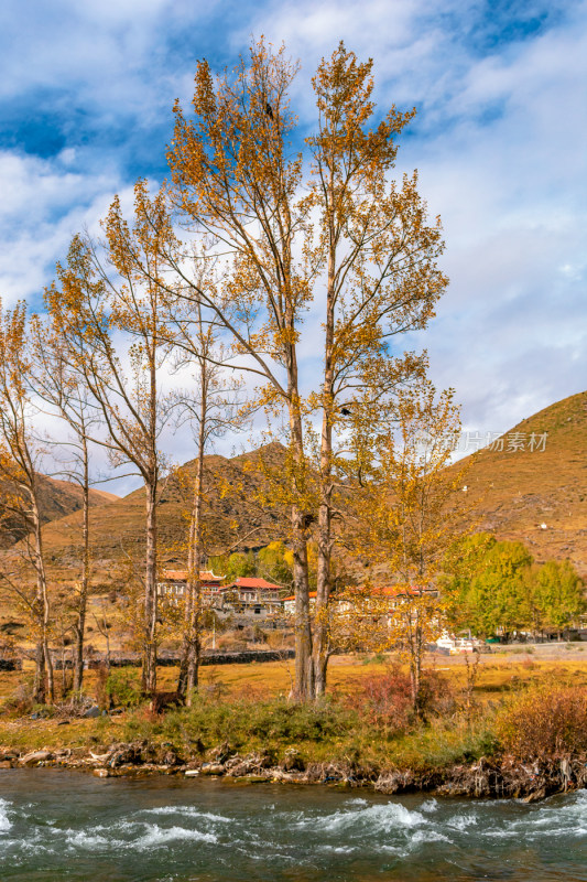 川西新都桥秋色红叶日出贡嘎旅游美景