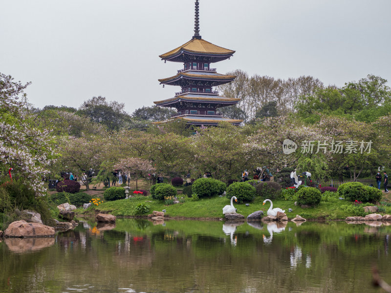 武汉东湖风景区景点风光