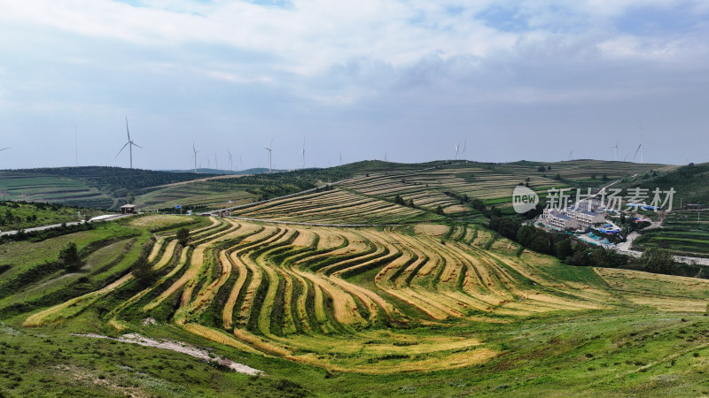 张家口坝上成熟的梯田大地调色板