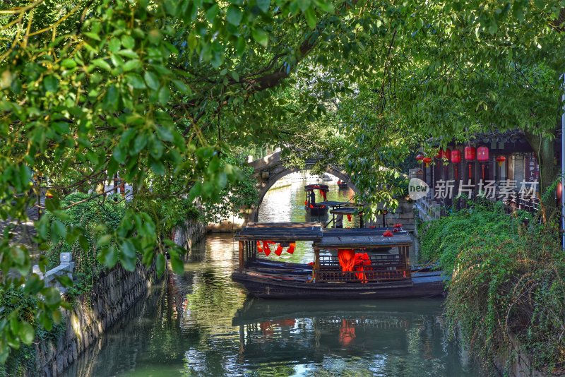 绿树成荫的江南水乡河道景观