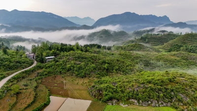 重庆酉阳：雾霾天气青山绿