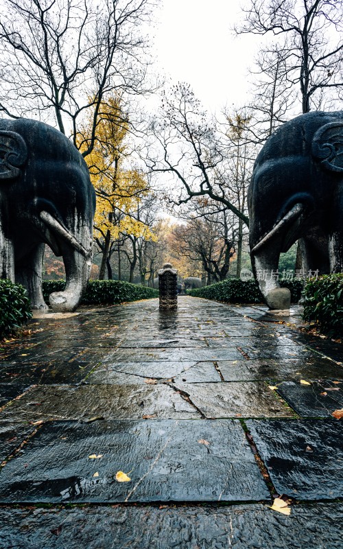 秋日石象景观小道雨中明孝陵