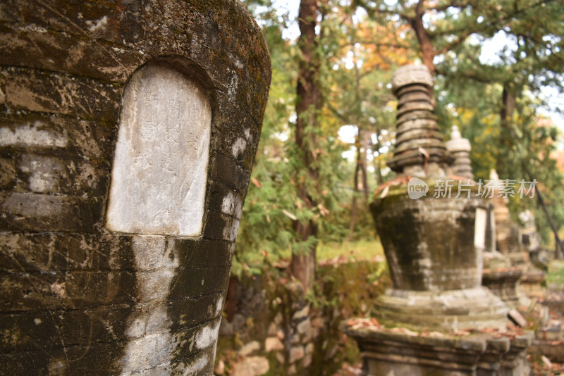 古刹塔林秋色 北京潭柘寺塔林