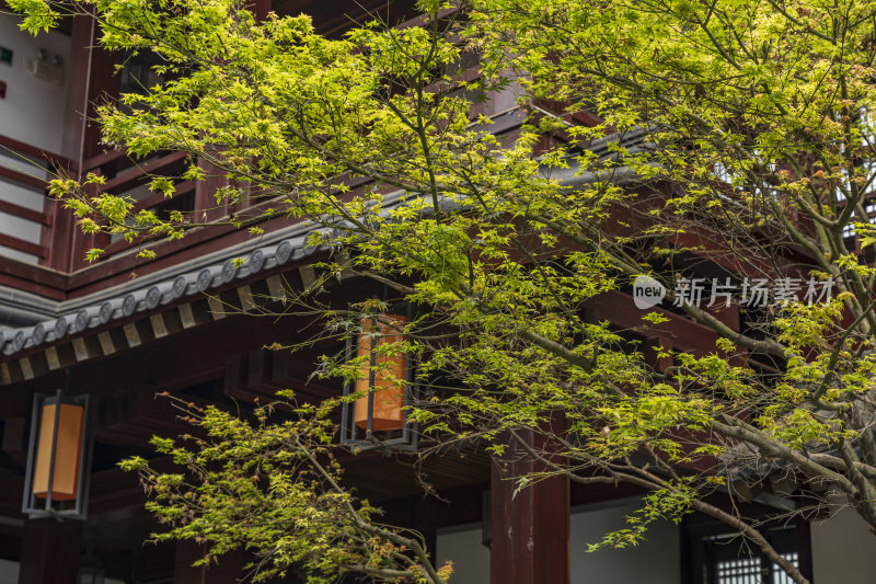 杭州拱墅区香积寺古建筑