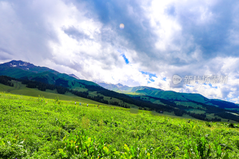 雪山草原森林游牧人家