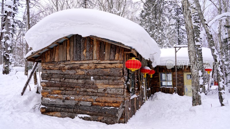 林海雪原