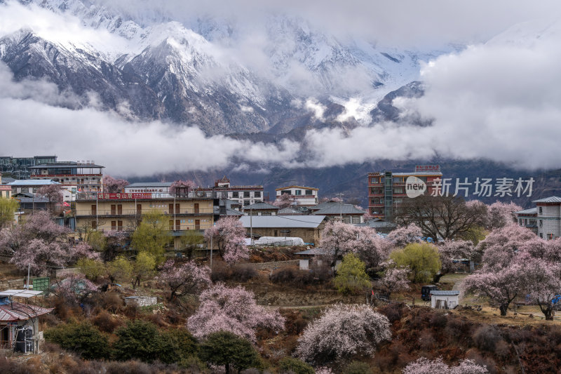 西藏林芝索松村南迦巴瓦峰雪山云海之巅