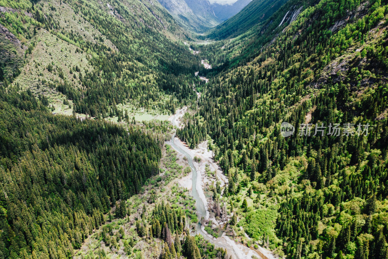 阿坝州四姑娘山长坪沟