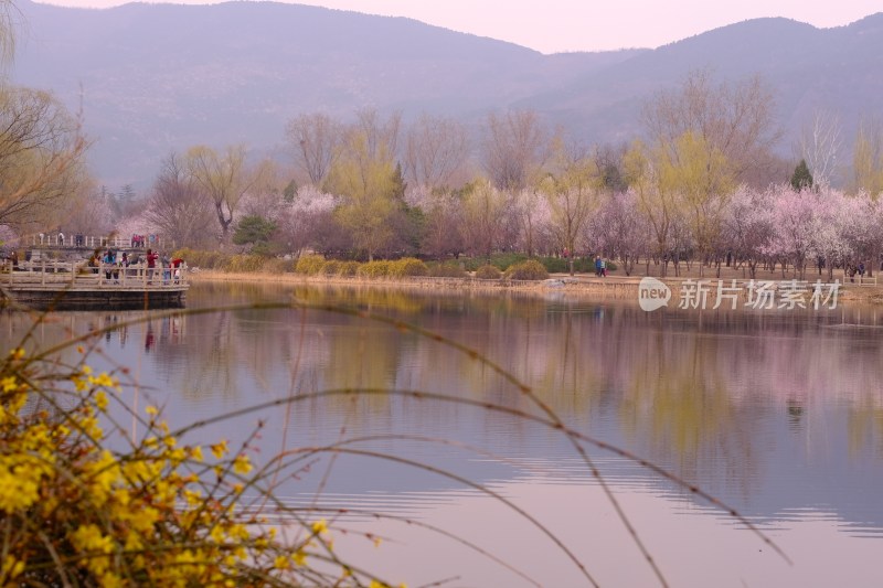 风景系列