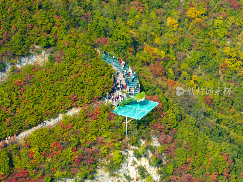 长江三峡巫峡红叶