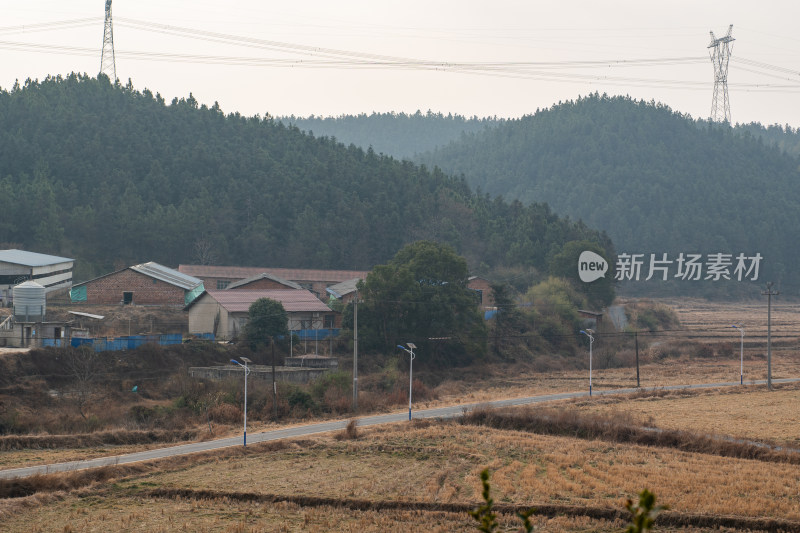 乡村风光中带房屋与树林的自然景象