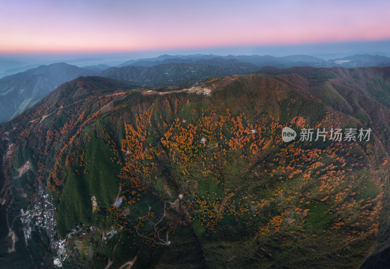 天目山脉中国金钱松森林公园秋色全景航拍