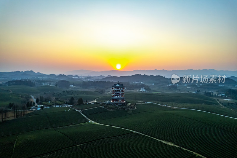 贵州遵义湄潭茶海