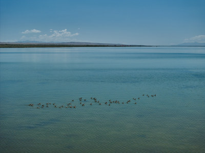 可鲁克湖湿地保护区