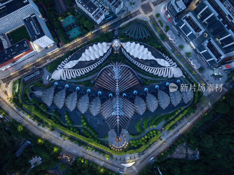 深圳大湾区平玛丝菲尔天使之翼高空航拍