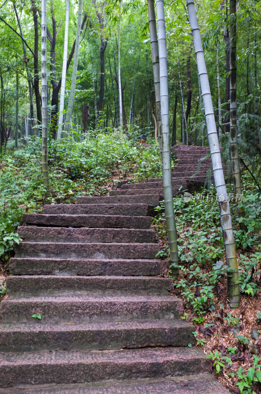 登山步道